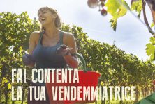 Immagine promozione Polinamic nastri per la vendemmia