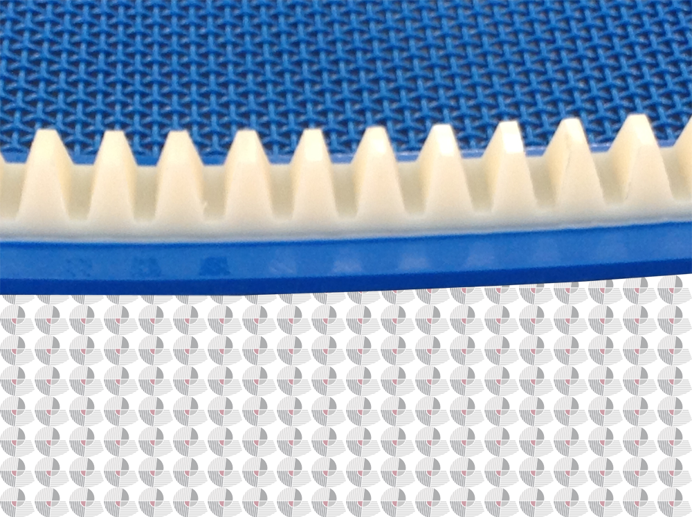 Toothed profile guide for polyester mesh belts